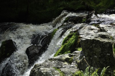 _DSC2961.JPG (439.47 KiB) Przeglądane 10117 razy _DSC2961.JPG