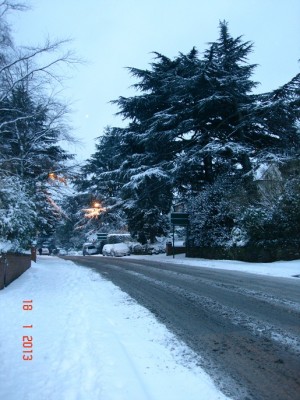 DSC02515.JPG