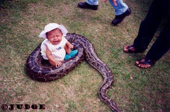 fun001136.jpg