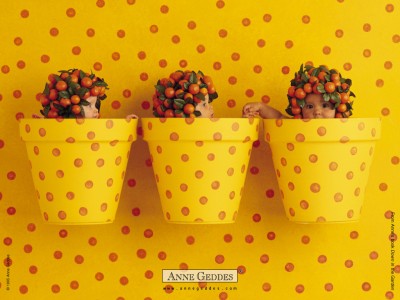 anne_geddes03_08.jpg